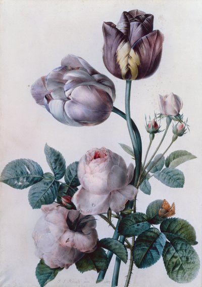 A Cabbage Rose, Two Tulips, A Small Tortoiseshell Butterfly, Yellow Meadow by Pierre Joseph Redouté