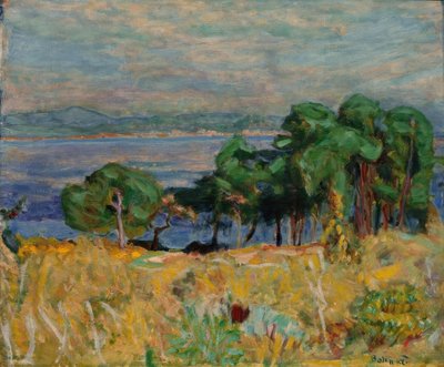 The Bay of Saint-Tropez by Pierre Bonnard
