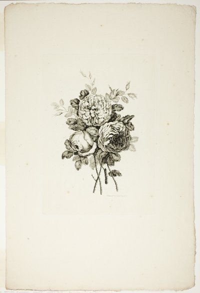 Bouquet with Roses, from Collection of Different Bouquets of Flowers, Invented and Drawn by Jean Pillement and Engraved by P. C. Canot by Pierre Charles Canot