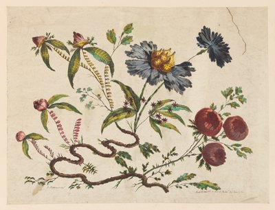 Flower Boughs, from "Collection of Different Fantasy Flowers in the Chinese Taste" by Pierre Charles Canot