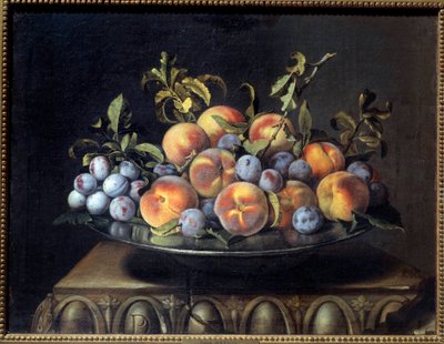 Peaches and plums in a tin dish by Pierre Dupuis