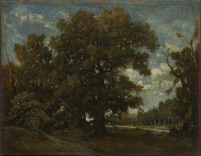 The Oak Tree by Pierre Etienne Theodore Rousseau