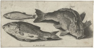 Three Carps by Pierre Firens