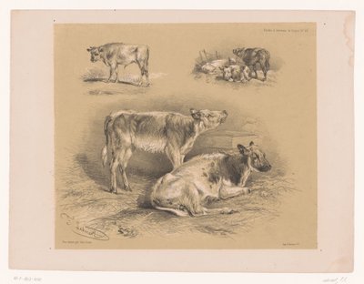 Three Studies of Cattle by Pierre Frédéric Lehnert