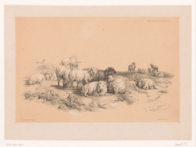 Study of a Flock of Sheep (series title: Animal Studies by Cooper) by Pierre Frédéric Lehnert