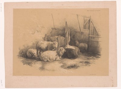 Study of a Flock of Sheep by a Fence (series title: Animal Studies by Cooper) by Pierre Frédéric Lehnert