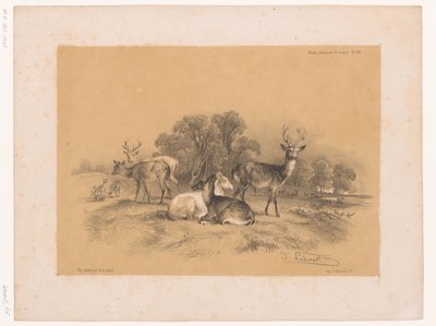 Study of a Pack of Red Deer by Pierre Frédéric Lehnert