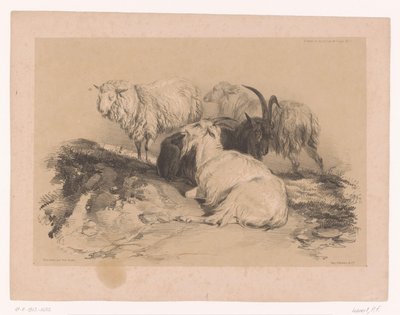 Study of sheep and goats by Pierre Frédéric Lehnert