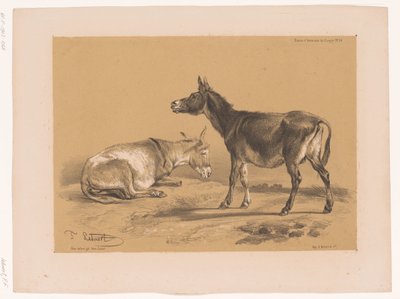 Study of Two Donkeys (Animal Studies by Cooper) by Pierre Frédéric Lehnert