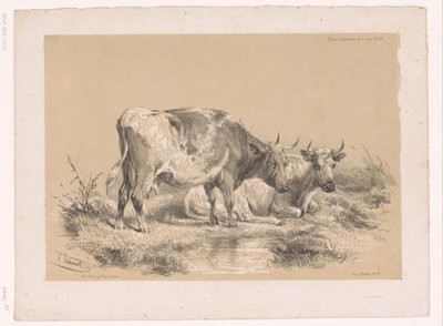 Study of Two Cows by Pierre Frédéric Lehnert