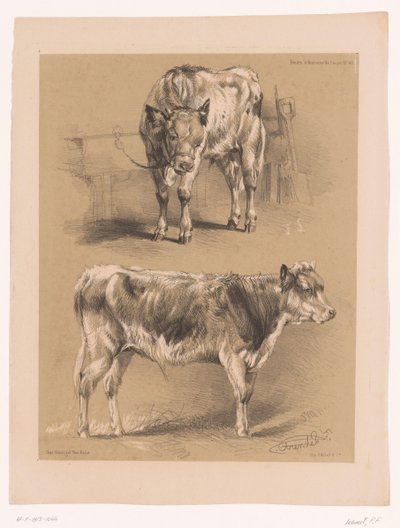 Two Studies of a Cow by Pierre Frédéric Lehnert