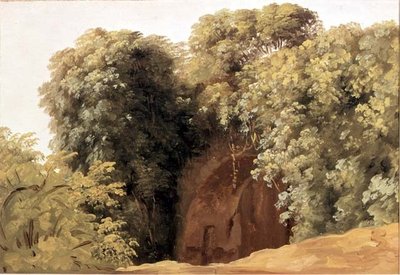 Ruins of an Arcade with Clusters of Grass by Pierre Henri de Valenciennes
