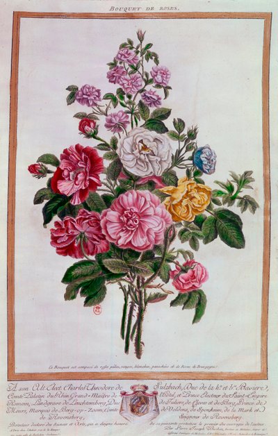 Bouquet of Roses, Lithography by Pierre Joseph Buchoz, 18th Century, Paris, B.N. by Pierre Joseph Buchoz