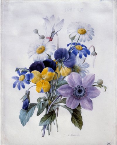 A Bouquet of Flowers: Clematis, Pansy, Daisy and Cyclamen. 19th Century. Paris, Louvre Museum by Pierre Joseph Redouté