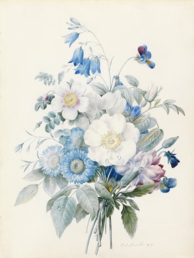 Blue Asters, Rosa Spinosissima (Hybrid), Harebell, Violas, Carnation and a Wild Rose by Pierre Joseph Redouté
