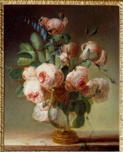 The flower vase. A bouquet of peonies. by Pierre Joseph Redouté