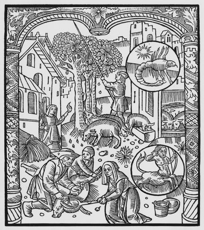 November, Killing the Pig and Harvesting Acorns, Scorpio, Illustration from the 