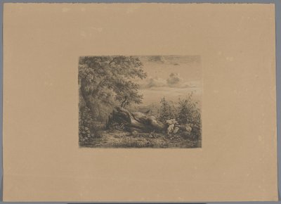 Fallen tree at the forest edge (Five etching proofs) by Pierre Louis Dubourcq (workshop of)