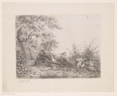 Fallen Tree at the Edge of the Forest by Pierre Louis Dubourcq