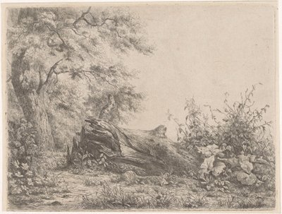 Fallen Tree at the Edge of the Forest by Pierre Louis Dubourcq