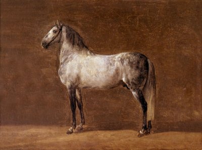 Horse of Emperor Napoleon I: The Cheikh by Pierre Martinet