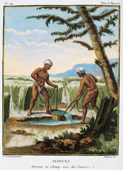India, Natives Irrigating Fields, from Voyage aux Indes et la Chine by Pierre Sonnerat by Pierre Sonnerat