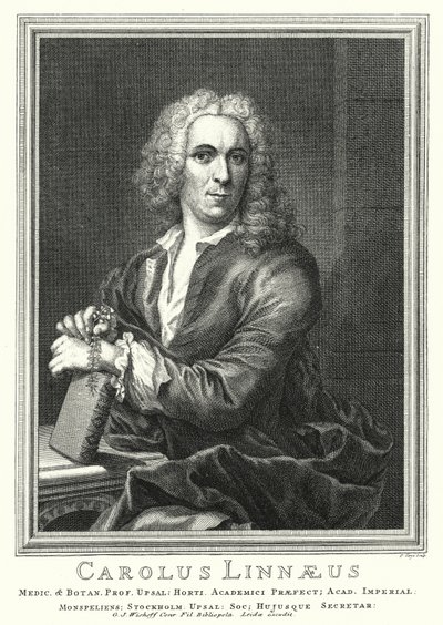 Carl Linnaeus, Swedish botanist and zoologist by Pierre Tanje