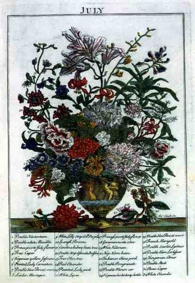 July, from The Flower Garden Displayed by Robert Furber, engraved by James Smith, pub. 1732 by Pieter (after) Casteels