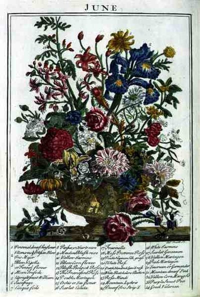 June, from The Flower Garden Displayed by Robert Furber, engraved by James Smith, pub. 1732 by Pieter (after) Casteels