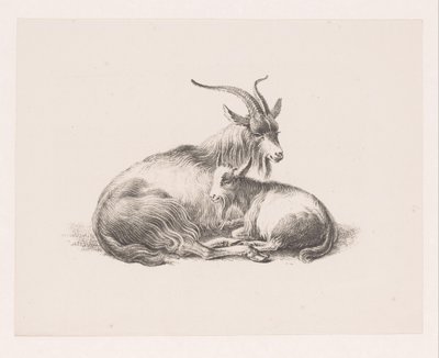Buck and a Goat by Pieter Bartholomeusz. Barbiers