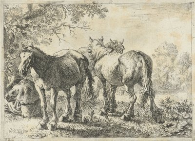 Three Horses and a Farmer (Various Animals series) by Pieter Bodding van Laer