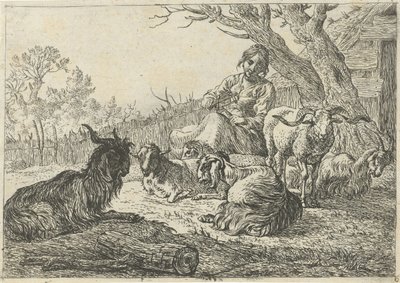 Shepherdess Among Goats and Sheep (Various Animals) by Pieter Bodding van Laer