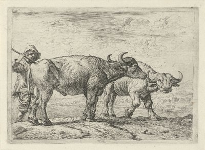 Two Buffaloes and a Shepherd (series title: Various Animals) by Pieter Bodding van Laer