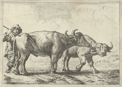 Two Buffaloes and a Shepherd by Pieter Bodding van Laer