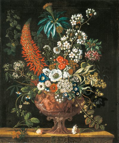 December, from The Twelve Months of Flowers, a floral calendar of still lifes, 1730 by Pieter Casteels