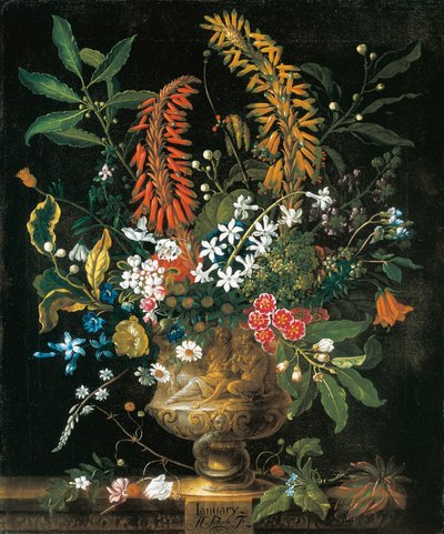 January, from The Twelve Months of Flowers, a floral calendar of still lifes by Pieter Casteels