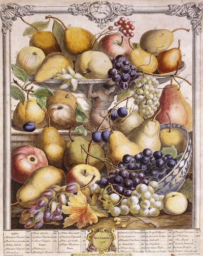 November 1732, Showing Seasonal Apples, Pears, Grapes etc. by Pieter Casteels