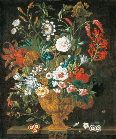 September, from The Twelve Months of Flowers, a floral calendar of still lifes by Pieter Casteels