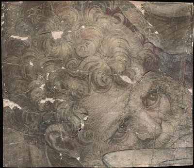 Head of a Bearded Man Looking Upwards by Pieter Coecke van Aelst