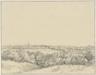 View of Haarlem from the Dunes by Pieter Ernst Hendrik Praetorius