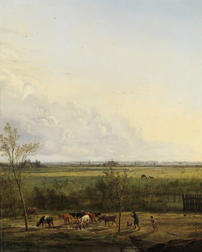 Distant View of the Meadows at 