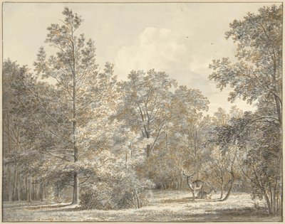 Deer in a Forest by Pieter Gerardus van Os