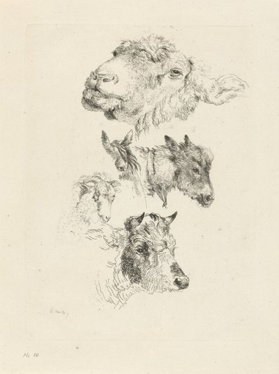 Study Sheet with Sheep, Horse, Donkey, Ram, and Bull Heads by Pieter Gerardus van Os