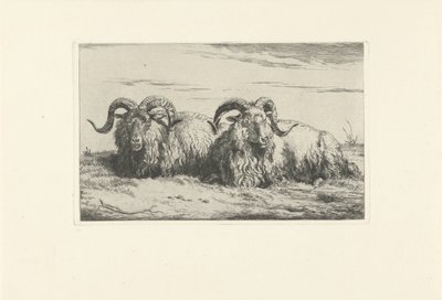 Two Lying Rams by Pieter Gerardus van Os