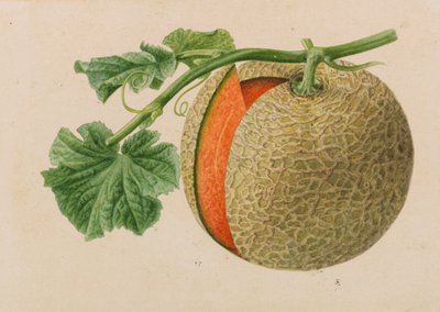 Originals of Publications of Horticulture and Arboriculture by Pieter Joseph de Pannemaeker