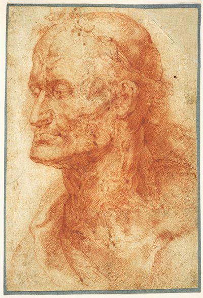 Study of an Old Man