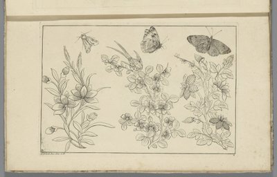 Three Flower Branches and Three Butterflies by Pieter Schenk (II)
