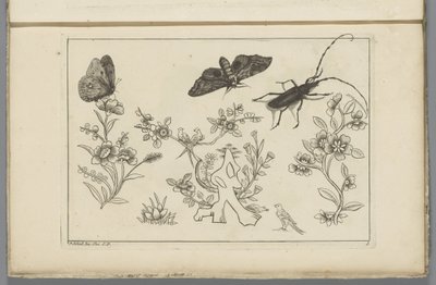 Three flower branches with birds, butterflies, and an insect by Pieter Schenk (II)