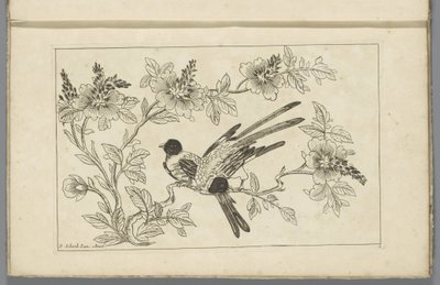 Two Birds on a Blossom Branch (Chinese Flowers and Birds) by Pieter Schenk (II)