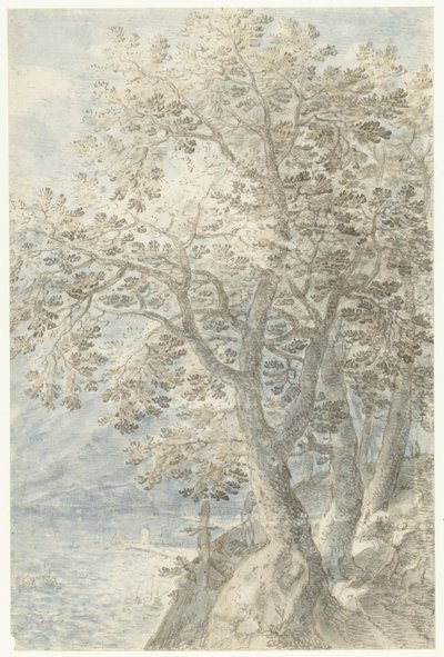 Trees by a Steep Cliff by Pieter Stevens (I)